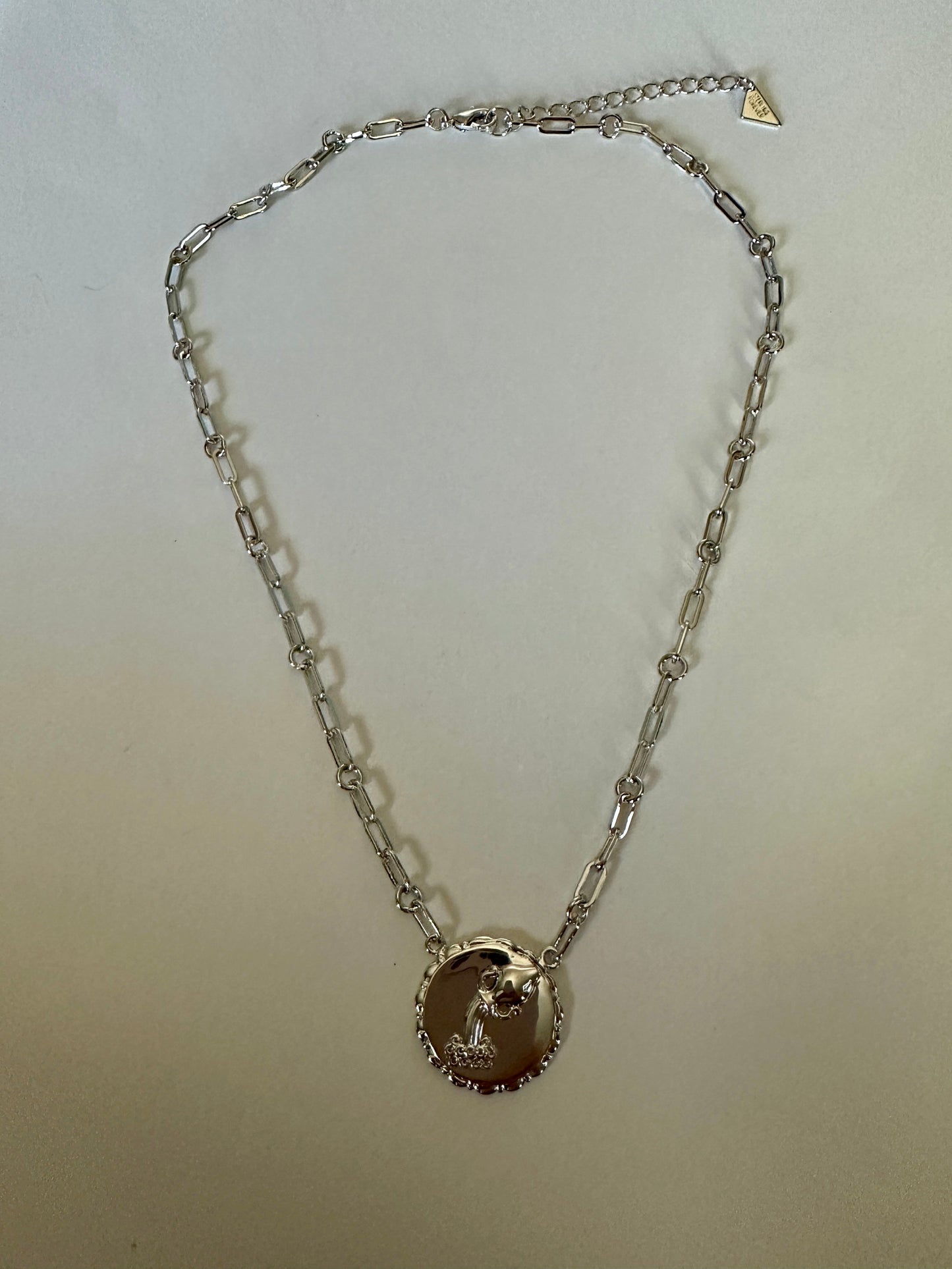 Bold CZ Zodiac Link Aquarius Necklace