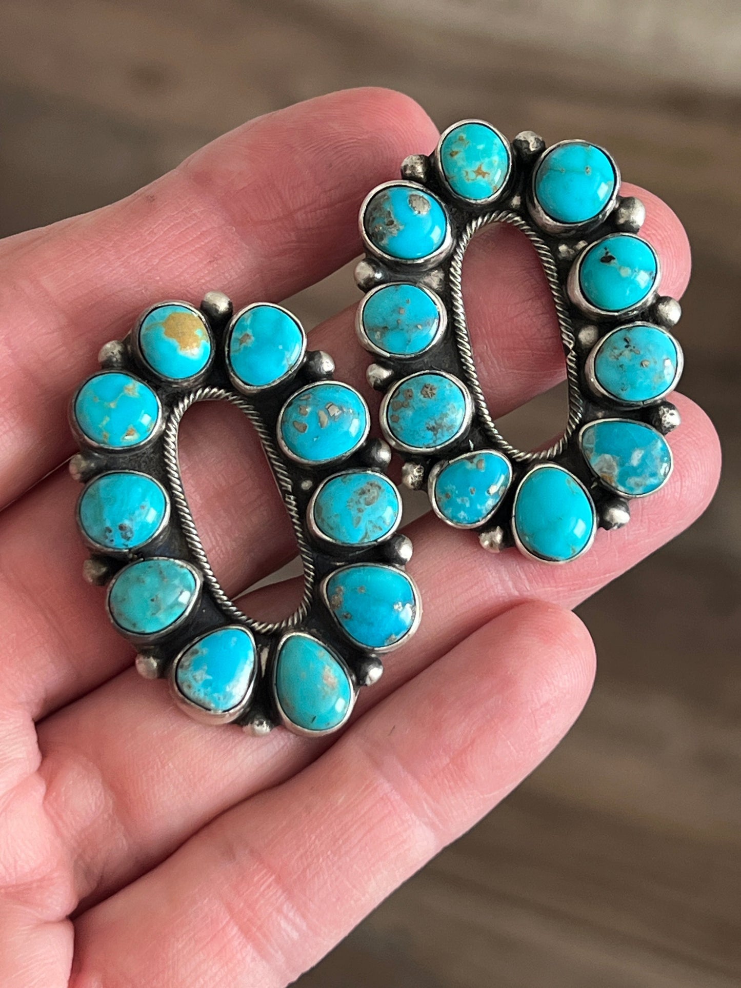 Navajo Sterling Silver and Whitewater Campitos Turquoise Cluster Necklace and Earring Set by Sheila Becenti