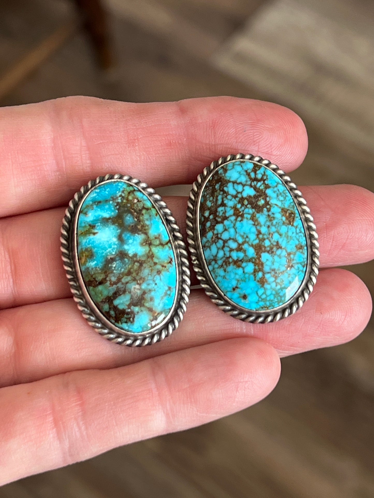 Navajo Sterling Silver and Birdseye Kingman Turquoise Y-Style Lariat Necklace and Earrings Set by Peggy Skeets