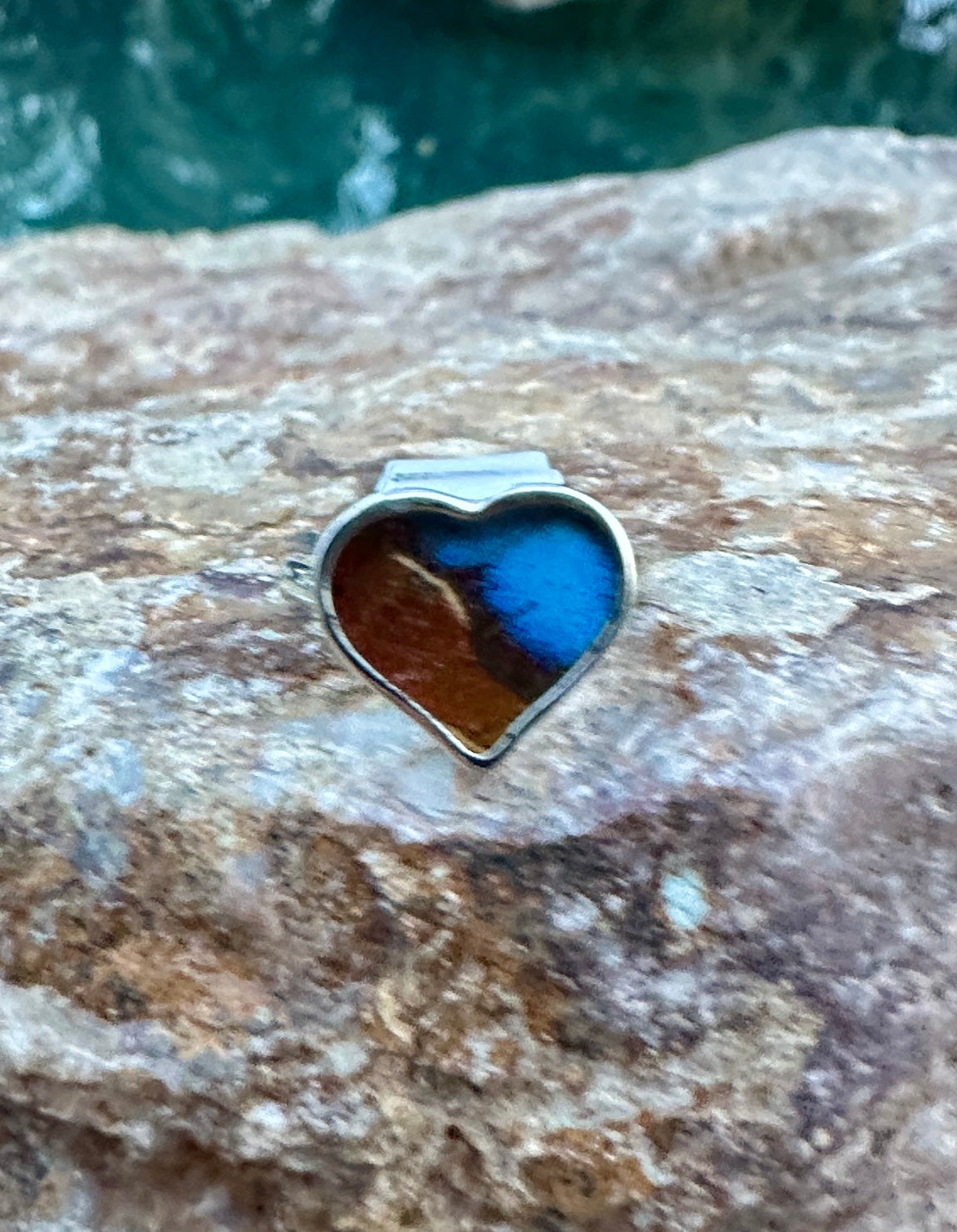 Morpho Ripheus Butterfly Ring Size 5
