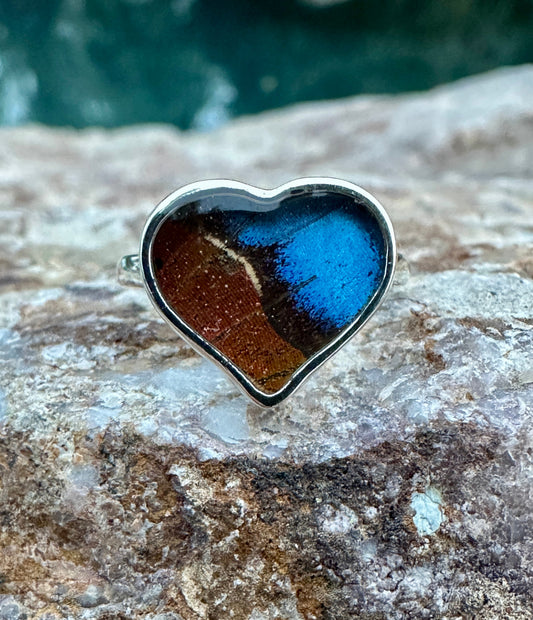 Morpho Ripheus Butterfly Ring Size 5