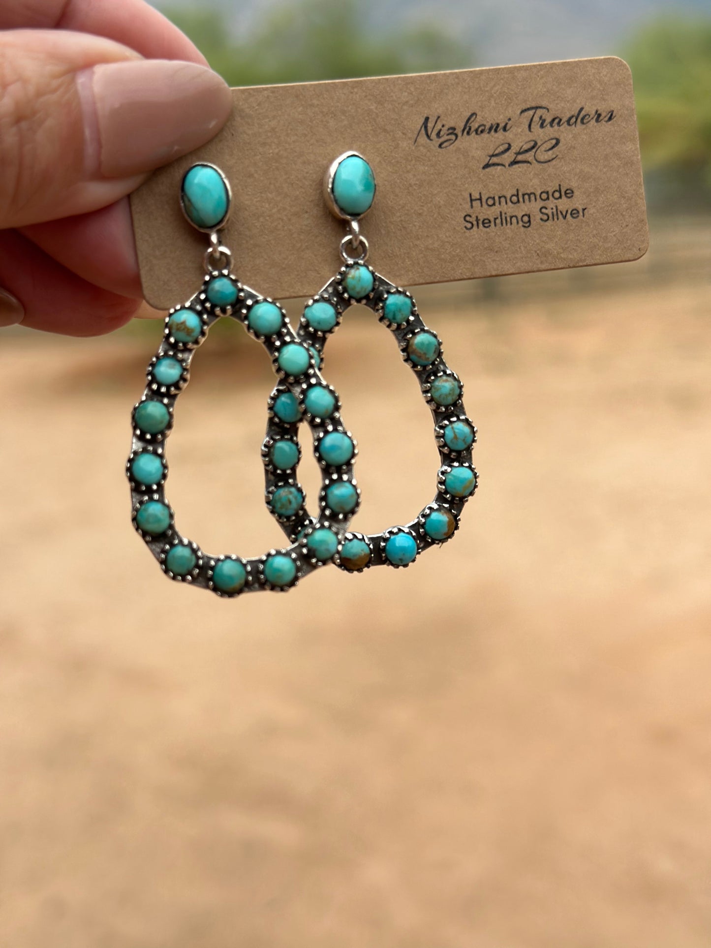 Handmade Snake Eye Royston Turquoise And Sterling Silver Dangle Earrings Signed Nizhoni